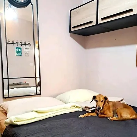 Elegant In The Historic Center Appartement *